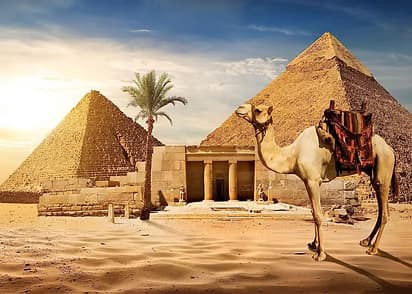 Egyptian desert scene with camel backdrop